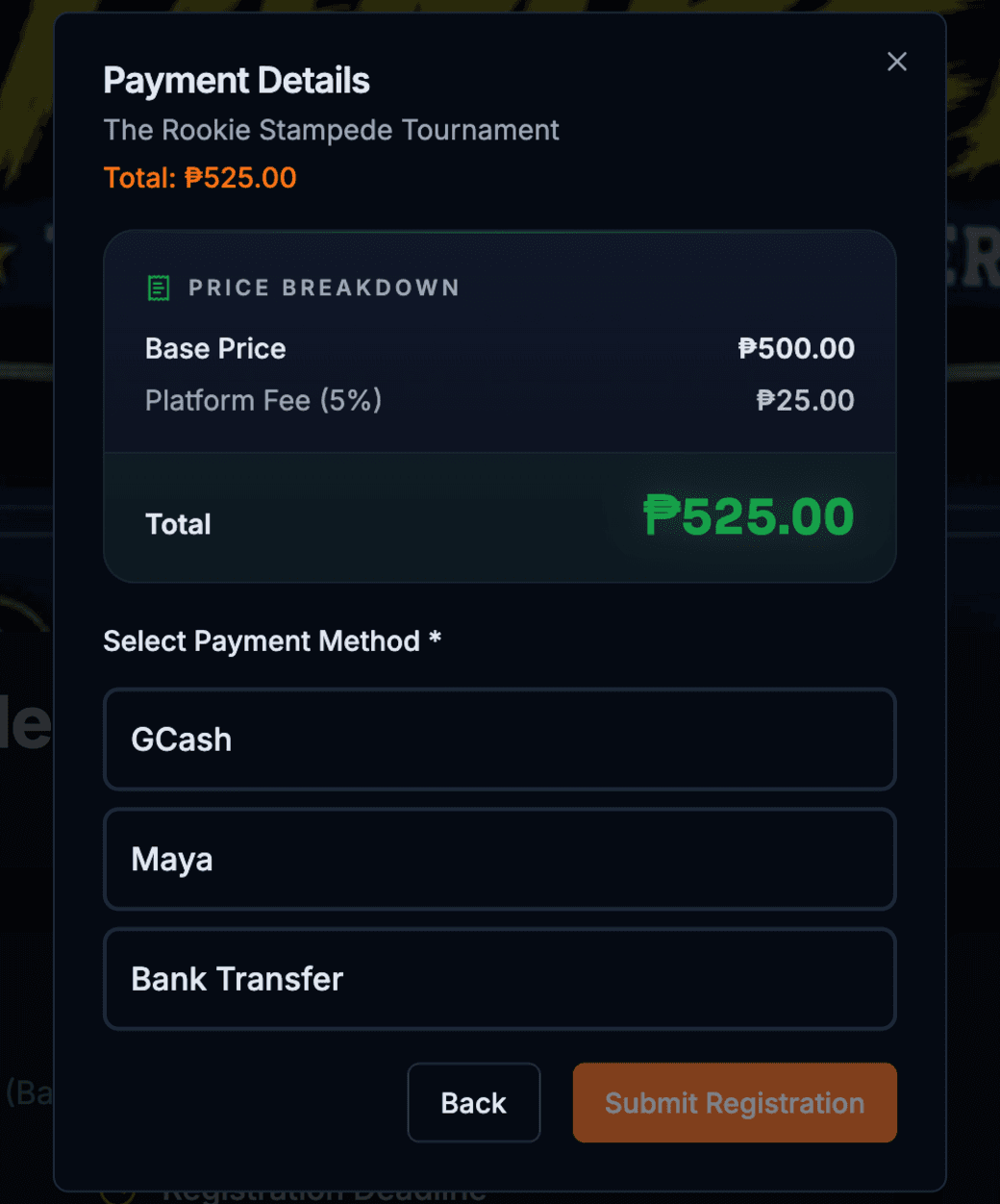Payment details modal
